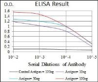 Anti-C/EBP alpha antibody [4E10] used in ELISA (ELISA). GTX60578