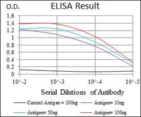 Anti-HSF4 antibody [2E7] used in ELISA (ELISA). GTX60581