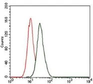 Anti-LC3B antibody [5H12] used in Flow cytometry (FCM). GTX60594