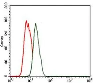 Anti-Nkx2.2 antibody [3E4] used in Flow cytometry (FACS). GTX60598