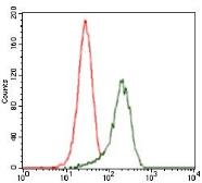 Anti-Shh antibody [5H4] used in Flow cytometry (FACS). GTX60606