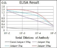 Anti-TGF beta 1 antibody [7F6] used in ELISA (ELISA). GTX60614