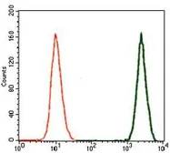 Anti-TGF beta 1 antibody [7F6] used in Flow cytometry (FACS). GTX60614