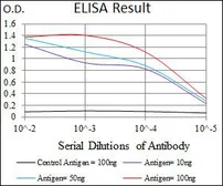 Anti-VAV1 antibody [2E11] used in ELISA (ELISA). GTX60621