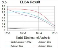 Anti-GCNF antibody [4G8] used in ELISA (ELISA). GTX60623