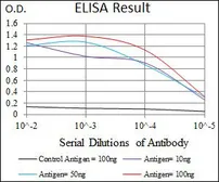 Anti-CD5 antibody [6A11] used in ELISA (ELISA). GTX60631