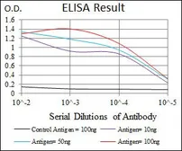 Anti-CD6 antibody [6B9] used in ELISA (ELISA). GTX60641