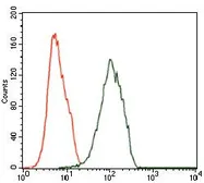 Anti-ILK antibody [3A9] used in Flow cytometry (FCM). GTX60645