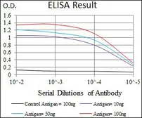 Anti-Uteroglobin antibody [3A8B8] used in ELISA (ELISA). GTX60655