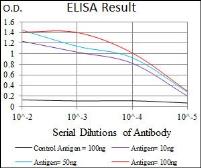 Anti-CD59 antibody [8D2B8] used in ELISA (ELISA). GTX60658
