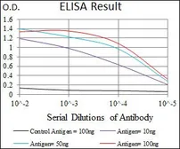 Anti-MMP2 antibody [4D1E2] used in ELISA (ELISA). GTX60669