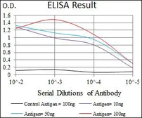 Anti-Osteopontin antibody [7C5H12] used in ELISA (ELISA). GTX60672