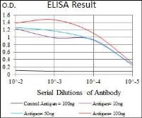 Anti-GLUT4 antibody [3G10A3] used in ELISA (ELISA). GTX60674