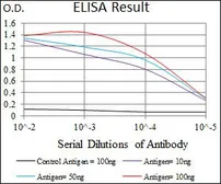 Anti-Nestin antibody [1A9G12] used in ELISA (ELISA). GTX60677