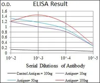 Anti-Chromogranin A antibody [1A6B6] used in ELISA (ELISA). GTX60690