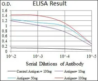 Anti-PCNA antibody [7H4F8] used in ELISA (ELISA). GTX60692