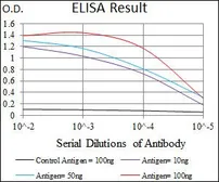 Anti-C17ORF53 antibody [5F3H1] used in ELISA (ELISA). GTX60710