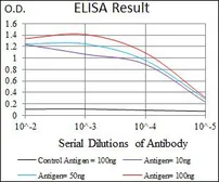 Anti-RPL18A antibody [6G6G10] used in ELISA (ELISA). GTX60728