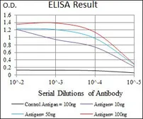 Anti-DNAL4 antibody [3B7B7] used in ELISA (ELISA). GTX60740