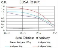 Anti-DNAL4 antibody [3C10A4] used in ELISA (ELISA). GTX60742