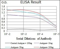 Anti-Alkaline phosphatase (intestinal) antibody [3B10E7] used in ELISA (ELISA). GTX60746