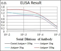 Anti-FGF4 antibody [2D7D5] used in ELISA (ELISA). GTX60747