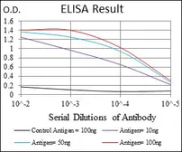 Anti-NG2 antibody [7G4E5] used in ELISA (ELISA). GTX60751