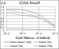 Anti-PHC1 antibody [1F3F3] used in ELISA (ELISA). GTX60752