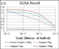 Anti-Ring1 antibody [8C12F4] used in ELISA (ELISA). GTX60753