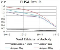 Anti-53BP1 antibody [6B3E10] used in ELISA (ELISA). GTX60762