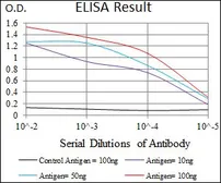 Anti-GPR86 antibody [2H1G9] used in ELISA (ELISA). GTX60767