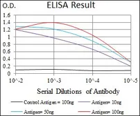 Anti-KLF1 antibody [1B6A3] used in ELISA (ELISA). GTX60769