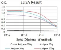 Anti-p38 MAPK antibody [8G4D11] used in ELISA (ELISA). GTX60771