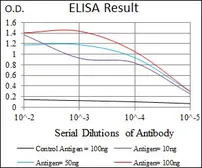 Anti-GATA6 antibody [2F10G3] used in ELISA (ELISA). GTX60772
