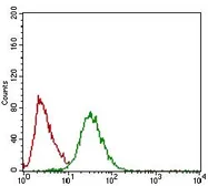 Anti-Twist1 antibody [10E4E6] used in Flow cytometry (FCM). GTX60776