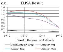 Anti-BRCA1 antibody [6C6D2] used in ELISA (ELISA). GTX60779