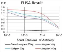 Anti-Rex1 antibody [5E11A6] used in ELISA (ELISA). GTX60783