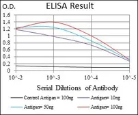 Anti-FLIP antibody [6G11A6] used in ELISA (ELISA). GTX60787