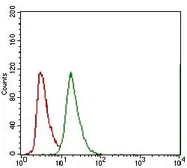 Anti-ABCG5 antibody [1B5E10] used in Flow cytometry (FCM). GTX60788