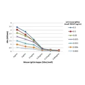 Rabbit Anti-Mouse IgG2a (kappa Light chain) antibody [RM107]. GTX60854