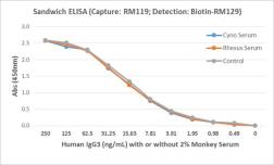 Rabbit Anti-Human IgG3 antibody [RM119]. GTX60864