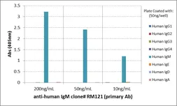 Rabbit Anti-Human IgM antibody [RM121]. GTX60866