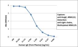 Rabbit Anti-Human IgE antibody [RM122]. GTX60867