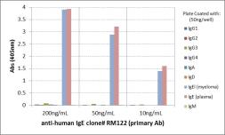 Rabbit Anti-Human IgE antibody [RM122]. GTX60867