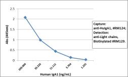 Rabbit Anti-Human IgA1 antibody [RM124]. GTX60869