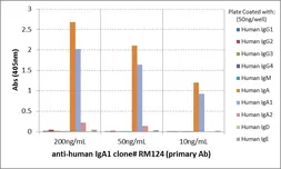 Rabbit Anti-Human IgA1 antibody [RM124]. GTX60869