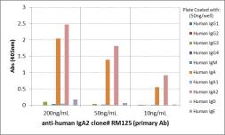 Rabbit Anti-Human IgA2 antibody [RM125]. GTX60870