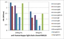 Rabbit Anti-Human kappa light chain antibody [RM126]. GTX60871