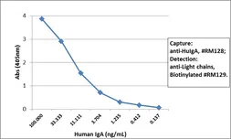 Rabbit Anti-Human IgA antibody [RM128]. GTX60873