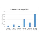 Anti-Histone H3K4me1 (Mono-methyl Lys4) antibody [RM140] used in ChIP assay (ChIP assay). GTX60878